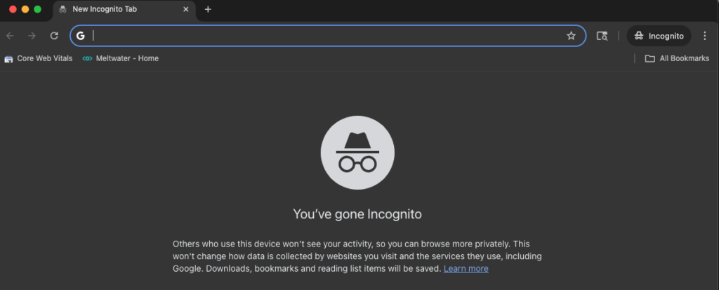 Google Incognito Screen